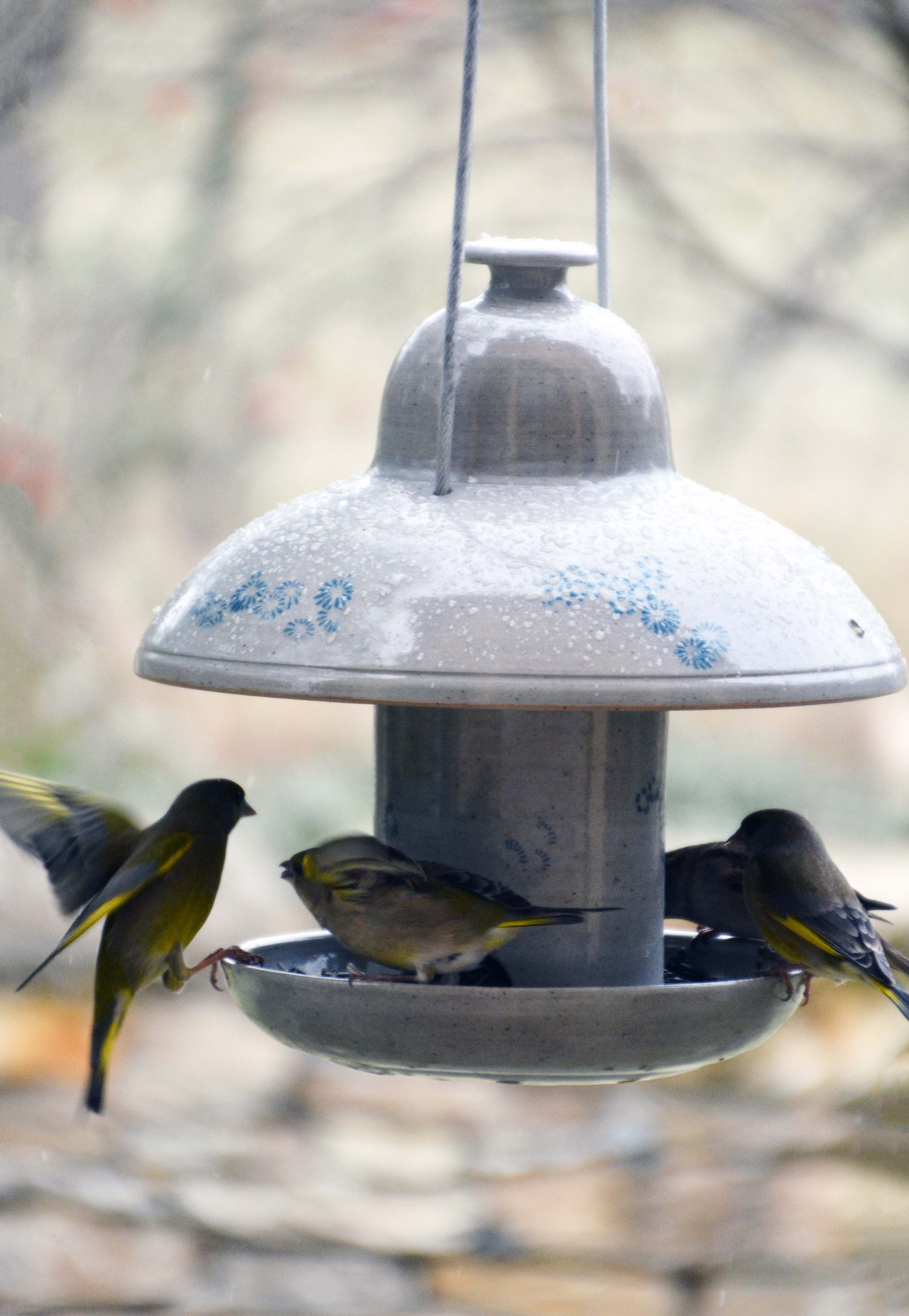 Mangeoire à oiseaux en céramique pour les graines – Vogelfütterer für die  Wildvögel – Objectif Terre Ceramique & Poterie